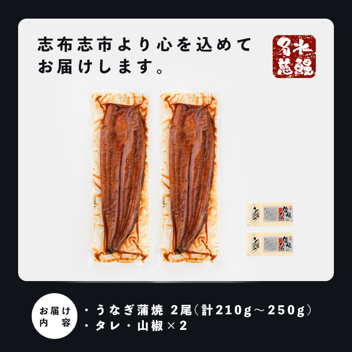 【10営業日以内に発送】鹿児島県産うなぎ蒲焼 名水慈鰻 2尾＜計210～250g＞ うなぎ 鰻 ウナギ 2尾 国産 蒲焼 かばやき 冷凍 真空 真空パック 無頭 うな重 ひつまぶし タレ 山椒 a1-151