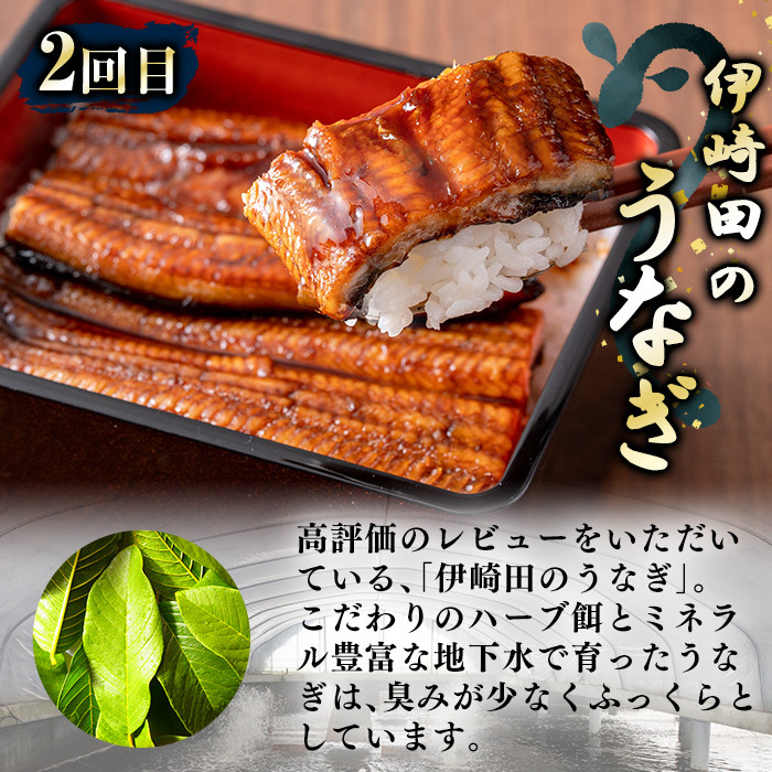 【定期便全2回】鰻と肉の定期便！ステーキ4枚と鰻蒲焼4尾をお届け！ t0057-004