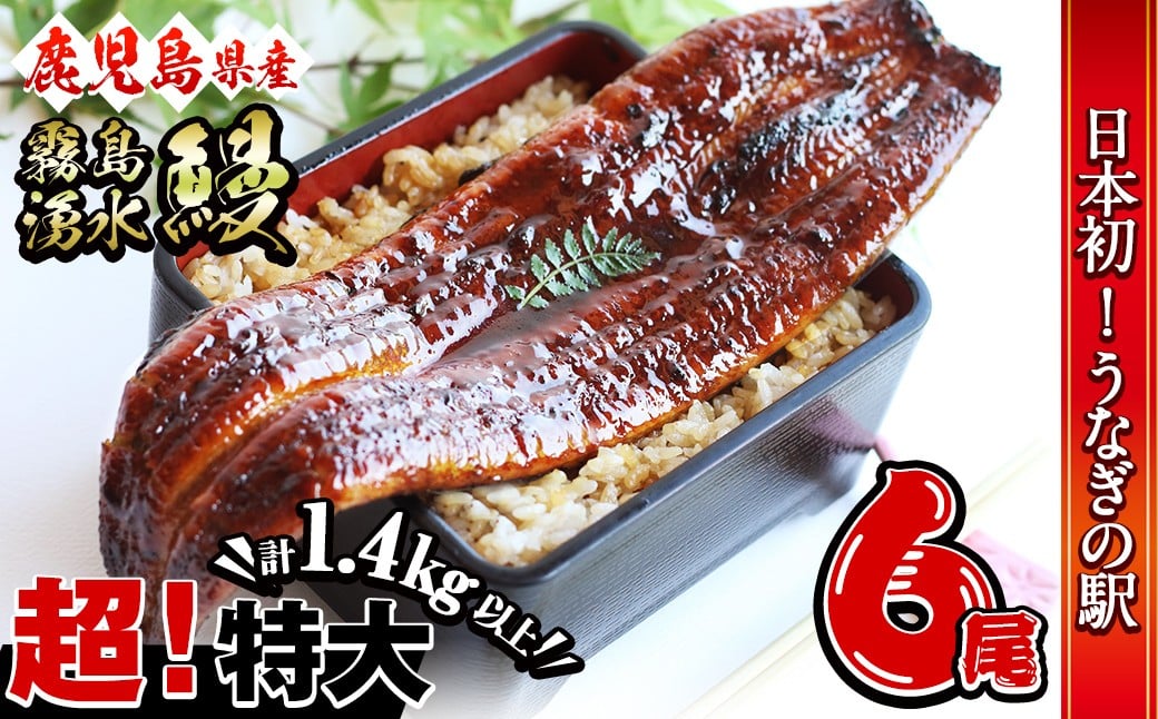 【数量限定】超特大！鹿児島県産 山田水産の霧島湧水鰻(計1400g以上・236g以上×6尾) c5-039