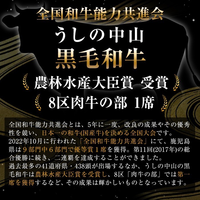 【定期便全3回】＜A4・A5等級＞鹿児島県産黒毛和牛100%使用 極上手ごねハンバーグ 計9kg（150g×20個・全3回） 黒毛和牛 和牛 ハンバーグ 冷凍ハンバーグ 牛肉 国産 九州産 ミンチ 小分け A4 A5 日本一 t0084-012