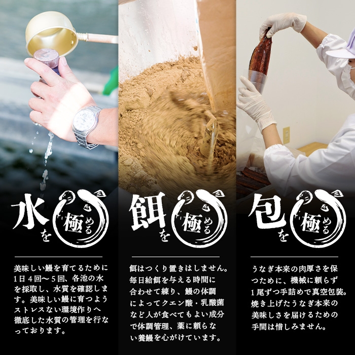 ＜入金確認後、2週間以内に発送！＞楠田の極うなぎ蒲焼130g以上×4尾(計520g以上) b3-013-2w