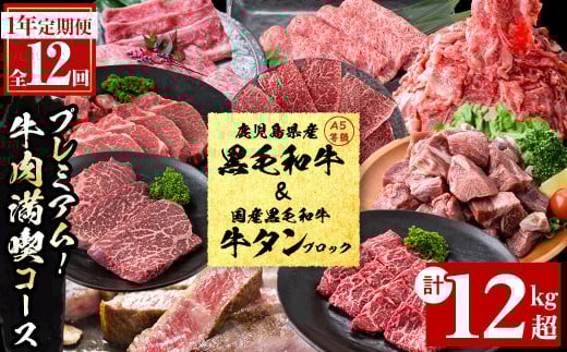 【定期便・全12回】＜A5等級＞鹿児島県産黒毛和牛＆国産牛タン プレミアム！牛肉満喫コース＜計12kg超＞ t026-001