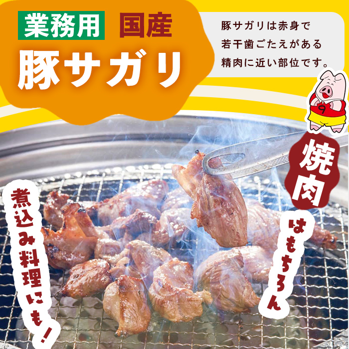 【訳あり】希少部位！！国産豚サガリ(5kg×2P 計10kg) 国産 豚肉 豚肉 豚 肉 冷凍 10kg 訳あり 業務用 サガリ つまみ おつまみ 炒め物 焼肉 BBQ 赤身 カレー シチュー 煮込み c0-136