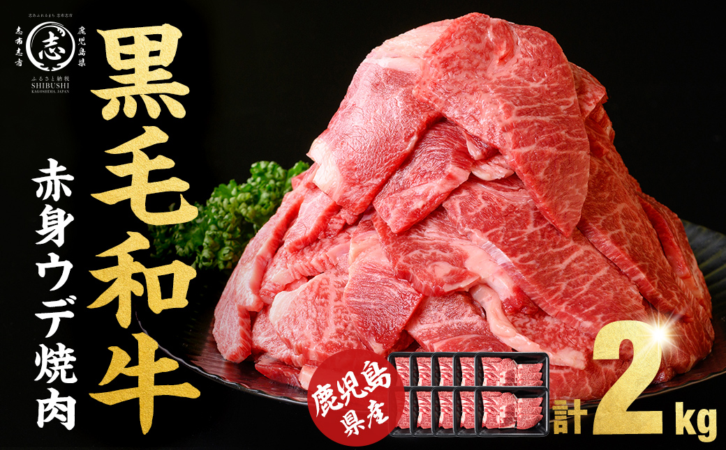 鹿児島県産黒毛和牛赤身ウデ焼肉 (計2kg・200g×10P) 黒毛和牛 国産 肉 牛肉 赤身 ウデ肉 鹿児島 小分け 焼き肉 炒め物 冷凍 b8-046