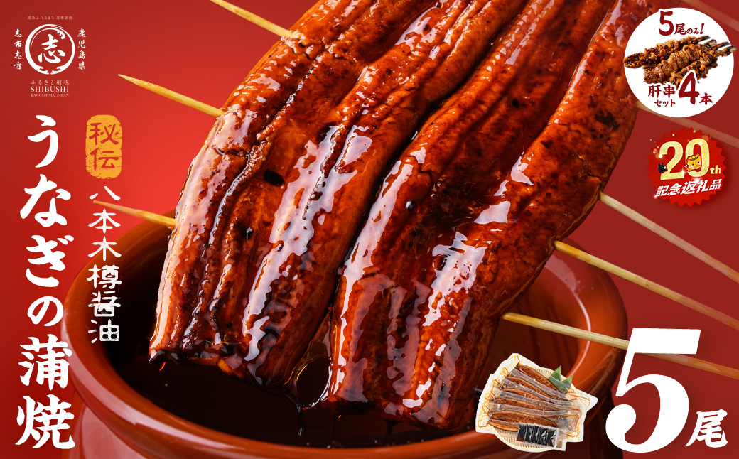 【志布志市制20周年記念】【数量限定】国産 八本木樽鰻の蒲焼(160g以上×5尾) うなぎ肝串4本セット 【ポータル限定】 b5-192-km