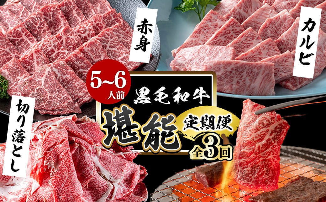 【定期便全3回】＜A4・A5等級＞黒毛和牛堪能〈お試し〉定期便（5〜6人分）総重量1.8kg t0058-003