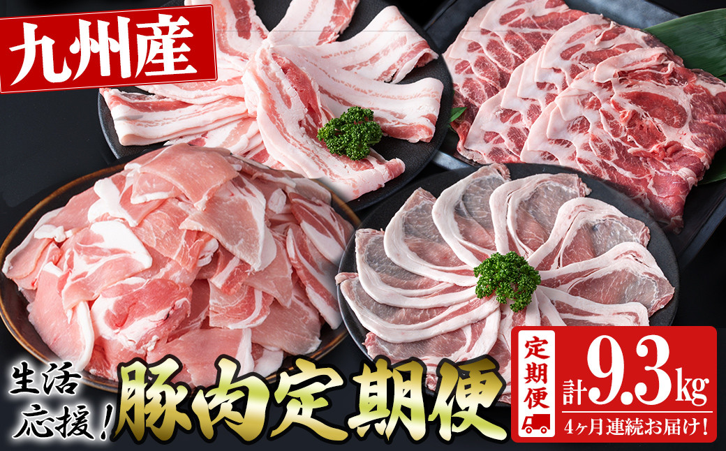 【定期便 全4回】九州産豚肉 生活応援定期便(計9.3kg) t0050-020