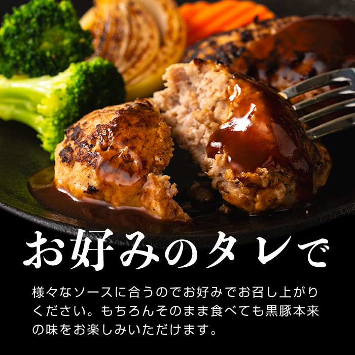 鹿児島県黒豚 100%使用 黒豚ハンバーグ(計1kg・100g×10個) a1-092