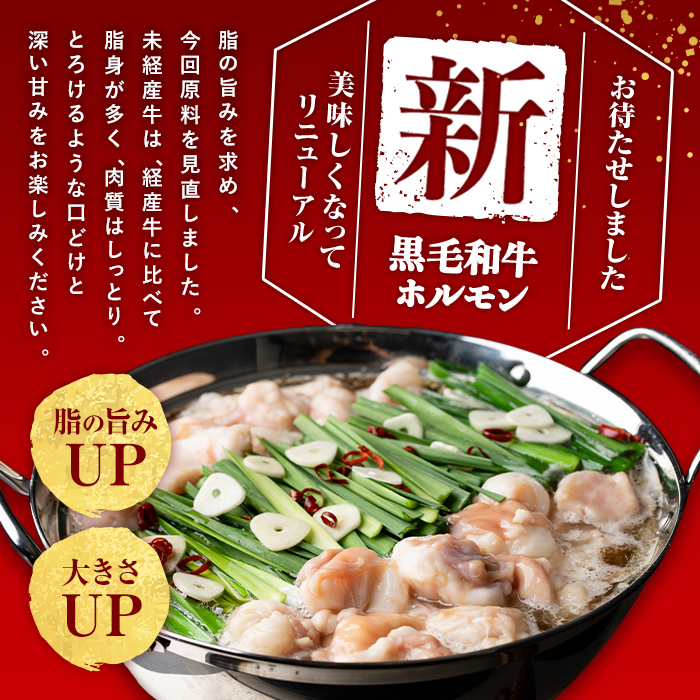 国産黒毛和牛ホルモン もつ鍋セット(6〜9人前) 黒毛和牛 肉 牛肉 国産 もつ鍋 モツ鍋 ホルモン タレ 鍋 焼肉 バーべキュー 小分け a4-100