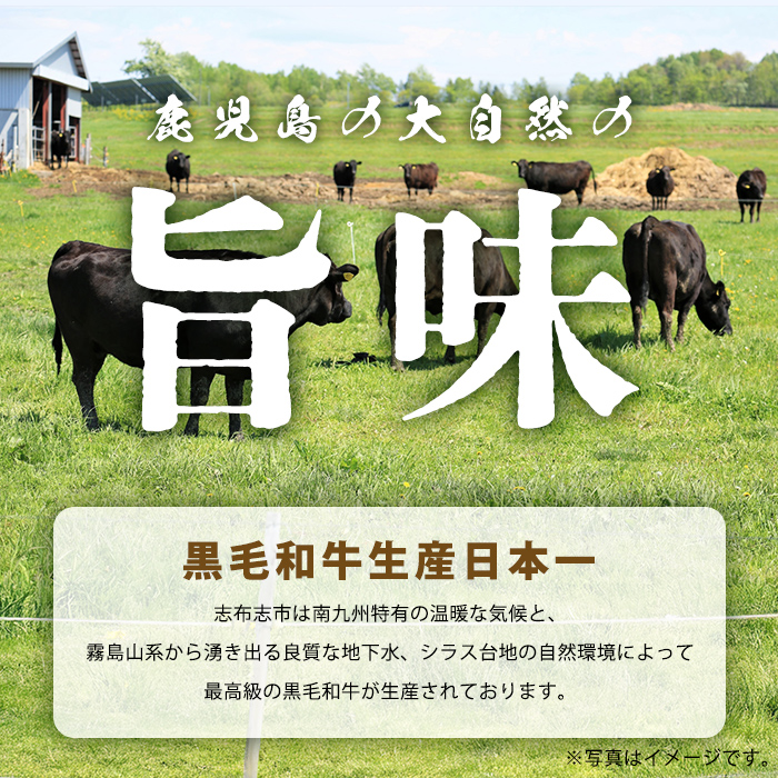 【小分け】＜A5等級＞鹿児島県産 黒毛和牛 牛肉 赤身 焼肉 (200g×5P/計1kg) 牛肉 肉 小分け 鹿児島県産 国産 A5 赤身 焼肉 焼き肉 黒毛和牛 BBQ b44-001