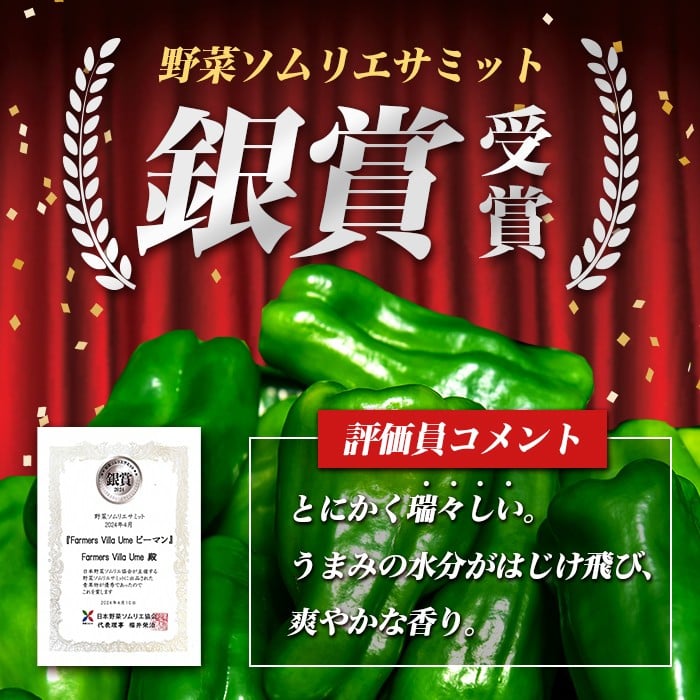 å¿åžå¿ç£èš³ããããŒãã³(1kg) ããŒãã³ èš³ãã éè ããã ãŽãŒãŸã æ°é®® åžžæž© åžžæž©ä¿å ããã è©°ãåãã éè³ éè³åè³ éèãœã ãªãšãµããã p5-050