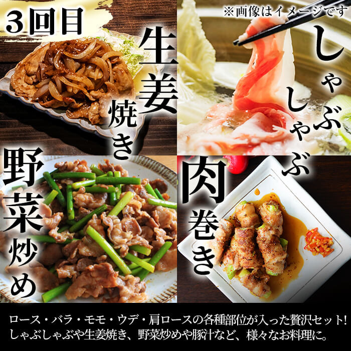 ãå®æäŸ¿ã»å
š3åãåœç£é»æ¯åçãšä¹å·ç£è±èã®é£åãå©ããŽãŒãŽãŒå®æäŸ¿ èš5.55kg t0037-002-02