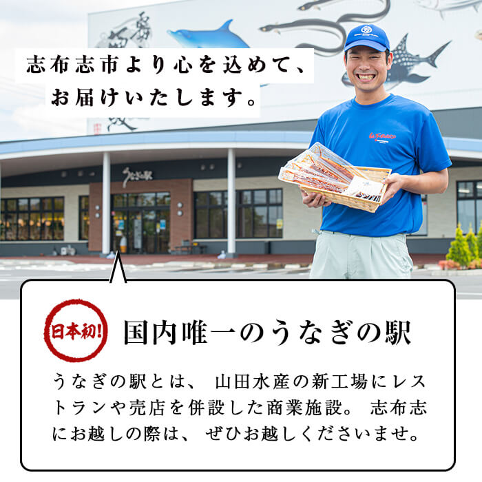 【志布志市人気No.1お礼の品】霧島湧水鰻の蒲焼き 1尾 ＜156g以上×1尾＞ p58-001