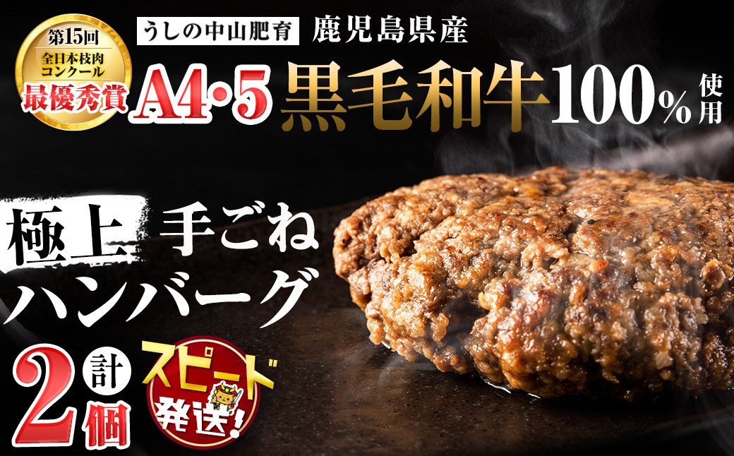 【志布志市制20周年記念】【入金確認後、2週間以内に発送】＜A4・A5等級＞鹿児島県産黒毛和牛100%使用極上ハンバーグ計300g(150g×2個) p8-152-2w