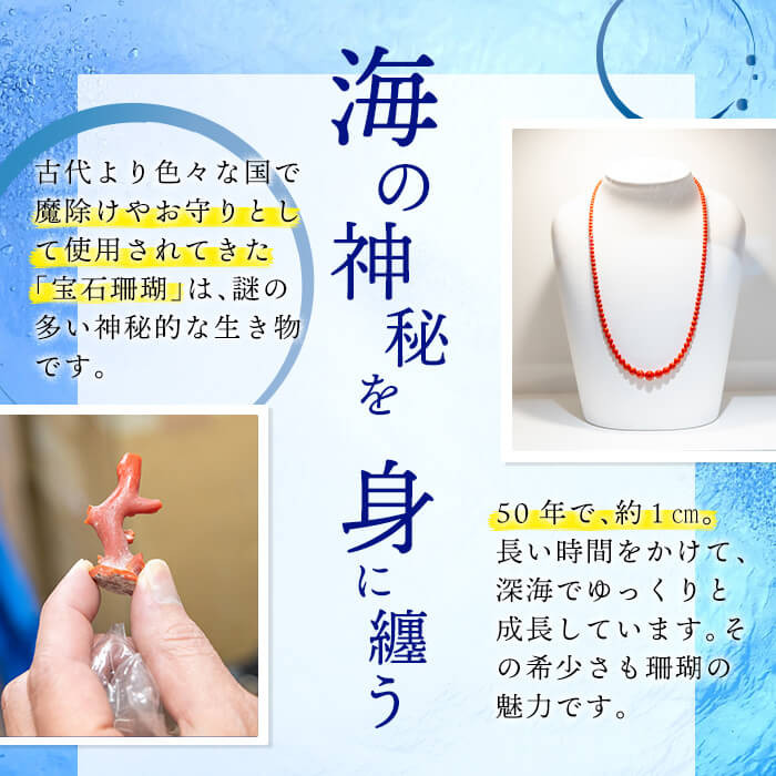 b5-074 ãã®ãã察å¿ãèµ€ççãã¢ã¹