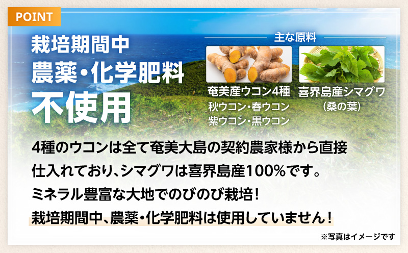 繧ケ繝医げ繝ャシ50蝗槫シ 螂鄒主、ァ蟲カ逕」繧ヲ繧ウ繝ウ4遞ョ 蝟懃阜蟲カ逕」繧キ繝槭げ繝ッ 莠梧律驟斐> 繧オ繝励Μ縲A202-002