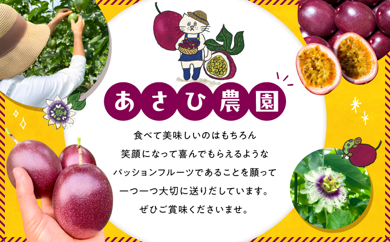 ã2026幎å
è¡äºçŽããæ
ç±ã®ã¿ããå¥çŸç£ããã·ã§ã³ãã«ãŒã 3.5kgïŒ45çååŸïŒãA203-001-02