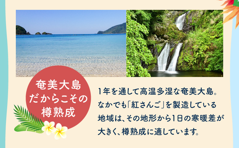 RED CORALシ育エ縺輔s縺斐た繝シ繝シ350mlテ12譛ャ縲A082-015-02