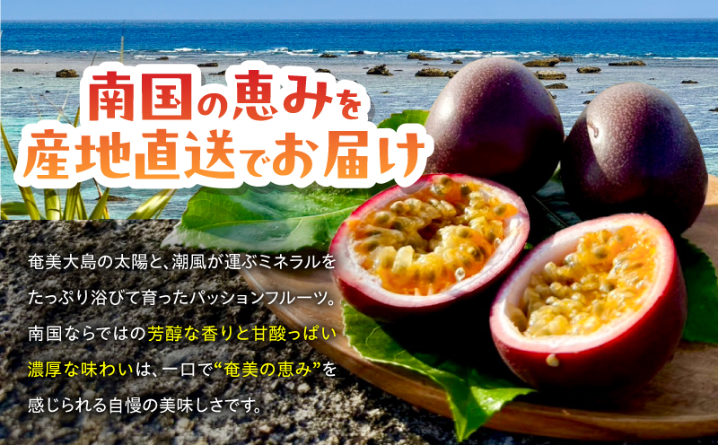 ã2026幎å
è¡äºçŽããæ
ç±ã®ã¿ããå¥çŸç£ããã·ã§ã³ãã«ãŒã 3.5kgïŒ45çååŸïŒãA203-001-02