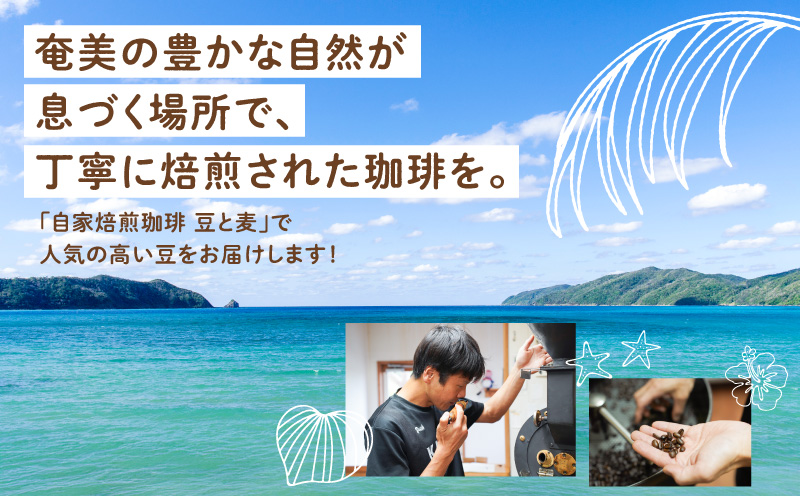 【自家焙煎】豆と麦 ブレンドNo.2（粉） 200g×1袋　A017-017-06