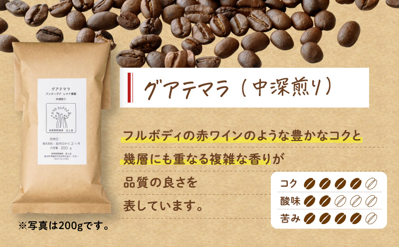 【自家焙煎】豆と麦 グアテマラ（豆） 計600g（200g×3袋）　A017-019-01