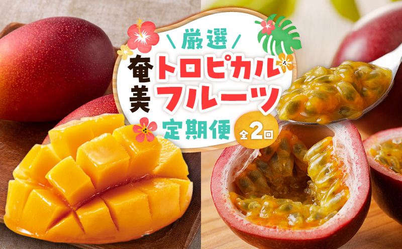 【全2回】厳選！奄美トロピカルフルーツ定期便　A000-T2402