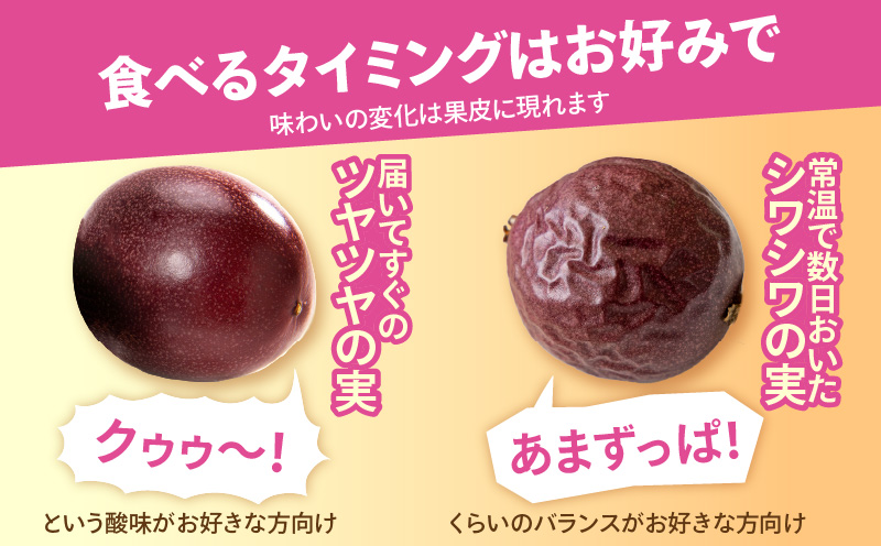 【2026年先行予約】完熟！南の島奄美のパッションフルーツ 2kg箱（20～22個サイズ混合）　A151-001