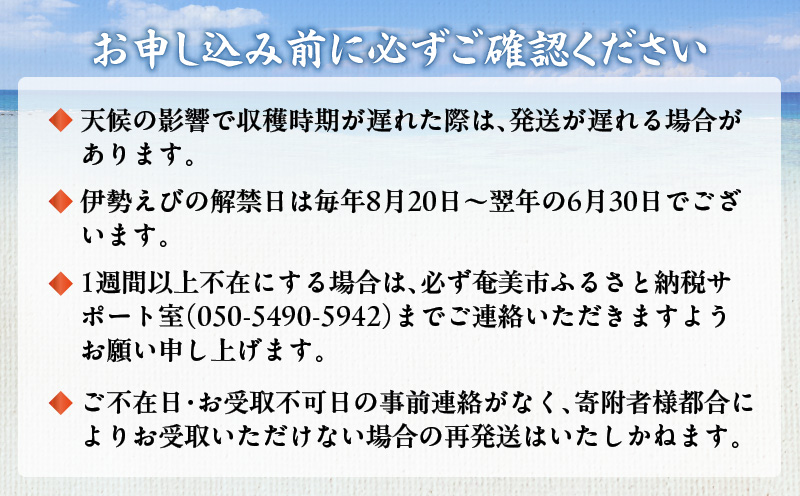 伊勢えび 約1kg以上（2尾〜3尾）　A050-002