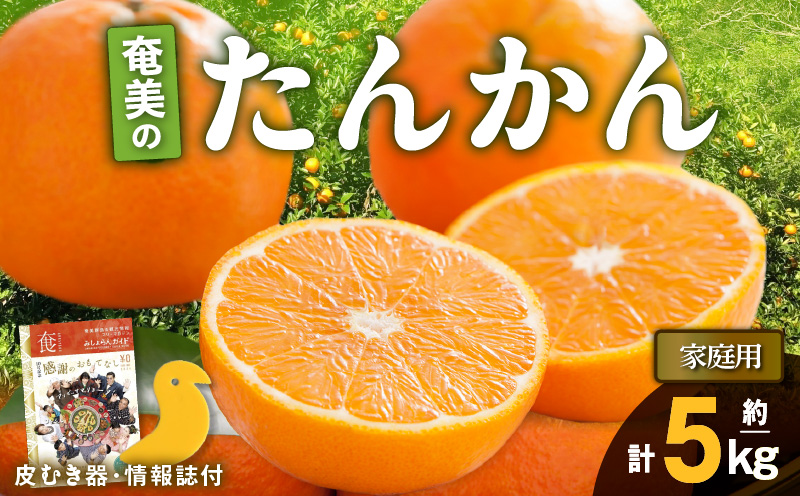 【2025年先行予約】奄美のたんかん家庭用5kg（皮むき器・情報誌付）　A052-022-01