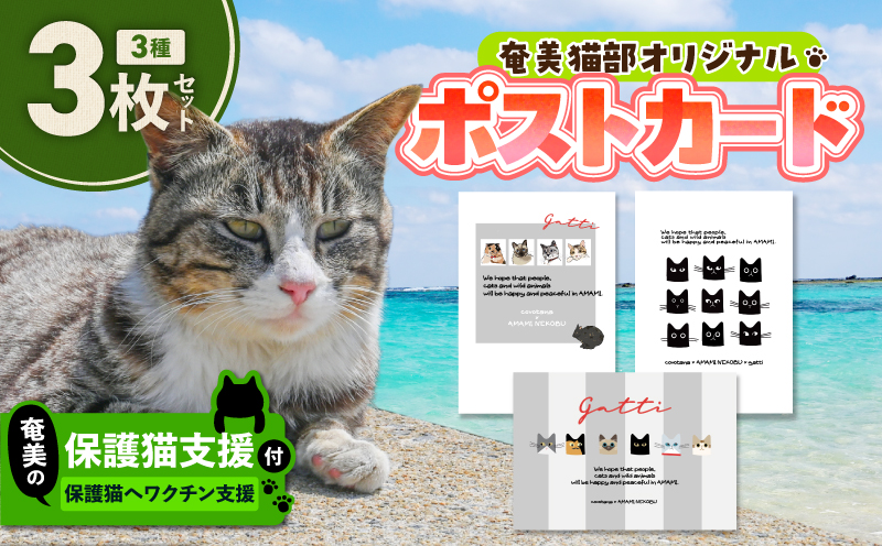 【奄美の保護猫支援（ワクチン代）】＋ポストカード3枚セット　A071-007