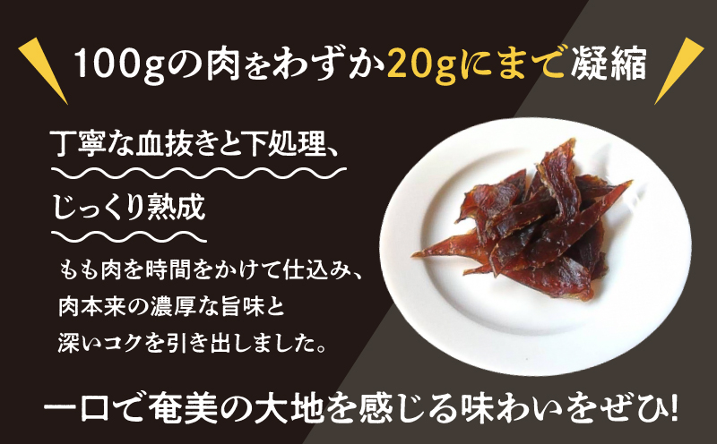 奄美ビールイノシシジャーキー　A126-012