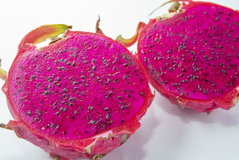 é
æã®ååœãã«ãŒãã»å¥çŸç£ãã©ãŽã³ãã«ãŒãïŒãã¿ã€ïŒçŽ2kg-1001