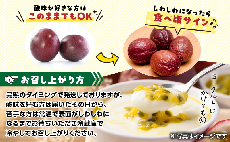 蟲家çŽéããã·ã§ã³ãã«ãŒã 2.5kgç®± å®¶åºçšïŒãµã€ãºæ··åïŒãA201-001