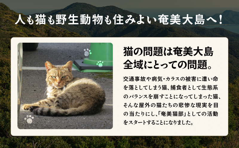 【奄美の保護猫支援（ワクチン代）】＋オリジナルステッカー（白×黒）　A071-012-01