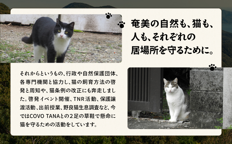 【奄美の保護猫支援（ワクチン代）】＋A4トートバッグ　A071-013