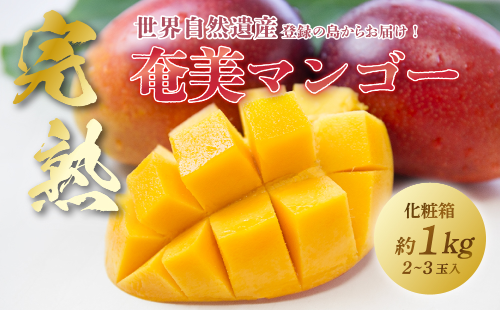 奄美大島産トロピカル完熟マンゴー 1.0kg(2〜3玉)