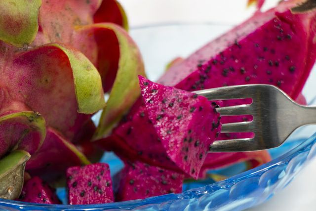 é
æã®ååœãã«ãŒãã»å¥çŸç£ãã©ãŽã³ãã«ãŒãïŒãã¿ã€ïŒçŽ2kg-1001