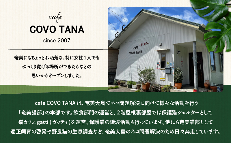 【奄美の保護猫支援（保護猫フード10日分）】＋レディースカットソー　A071-011