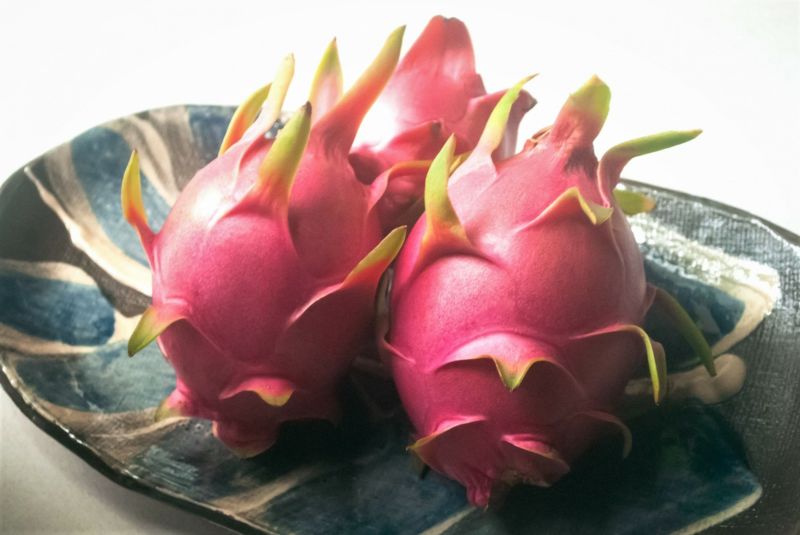 é
æã®ååœãã«ãŒãã»å¥çŸç£ãã©ãŽã³ãã«ãŒãïŒãã¿ã€ïŒçŽ2kg-1001