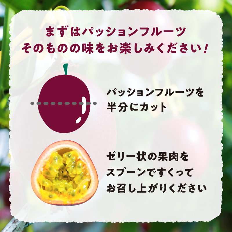 【2026年先行予約】【農家直送】奄美大島産 パッションフルーツ 贈答用 1kg（秀品12個入り）　A092-004