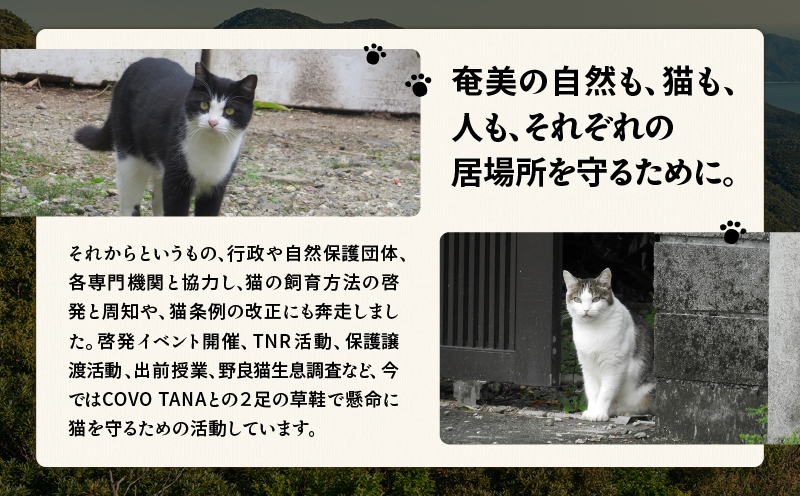 ãå¥çŸã®ä¿è·ç«æ¯æŽïŒä¿è·ç«ããŒã10æ¥åïŒãïŒå¥çŸç£ã¿ã³ã«ã³ã®ã¯ã¬ãŒã ããªã¥ã¬ïŒ6åå
¥ãïŒãA071-002-02