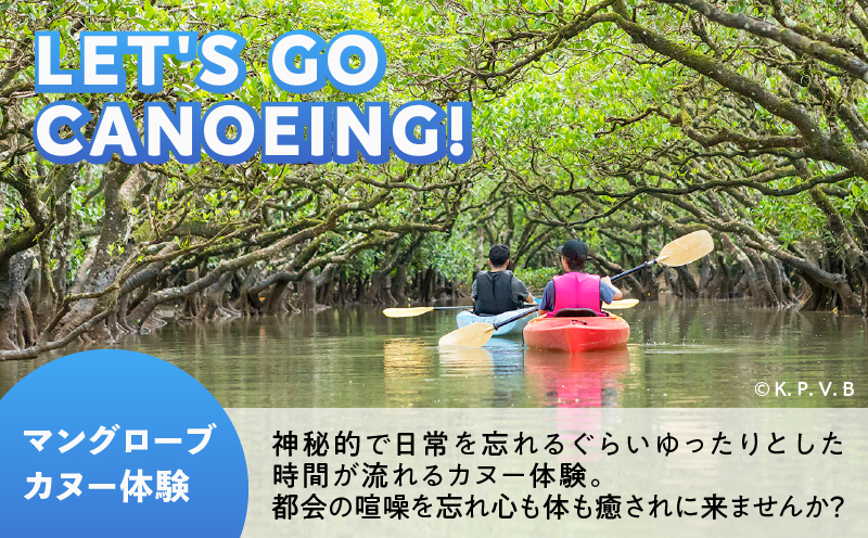 奄美市に泊まるふるさと納税旅行クーポン【12,000円分】　A184-004