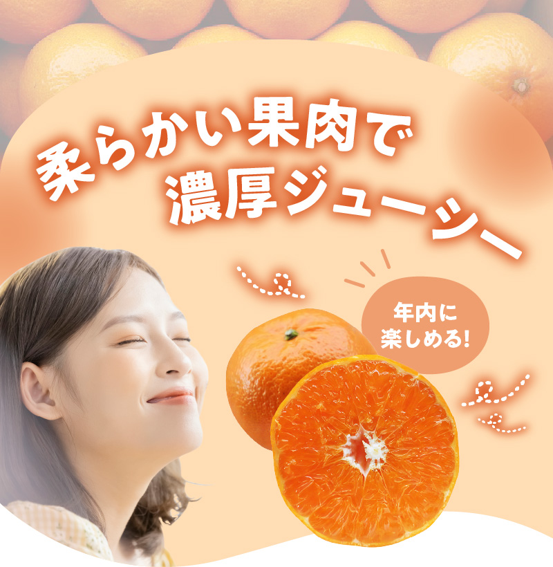 【期間・数量限定！】奄美つのかがやき＜秀品＞化粧箱 5kg （満杯詰め）3L〜Mサイズ【贈答用】　A070-006