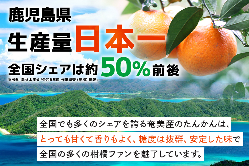【2027年先行予約】奄美大島産 おいしい 完熟 たんかん 10kg 光センサー 選別 期間 数量 限定 予約 柑橘 みかん 果物 フルーツ 旬 甘い サイズ おまかせ 奄美大島 ピーラー付き フラスコ ふるさと納税 鹿児島 奄美市　A145-003