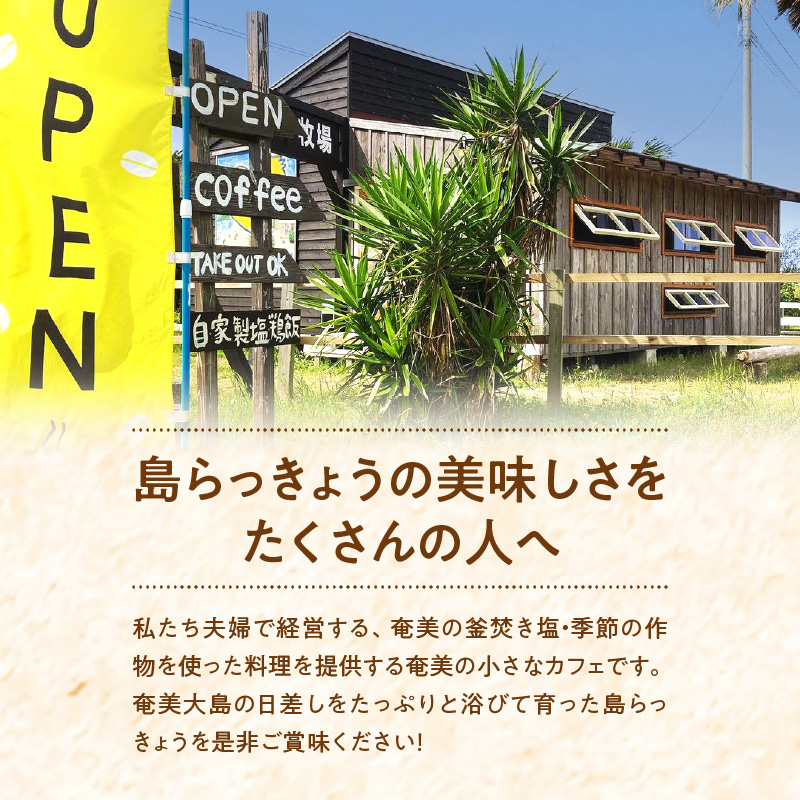 【2026年先行予約】奄美の島らっきょう 1kg　A139-002