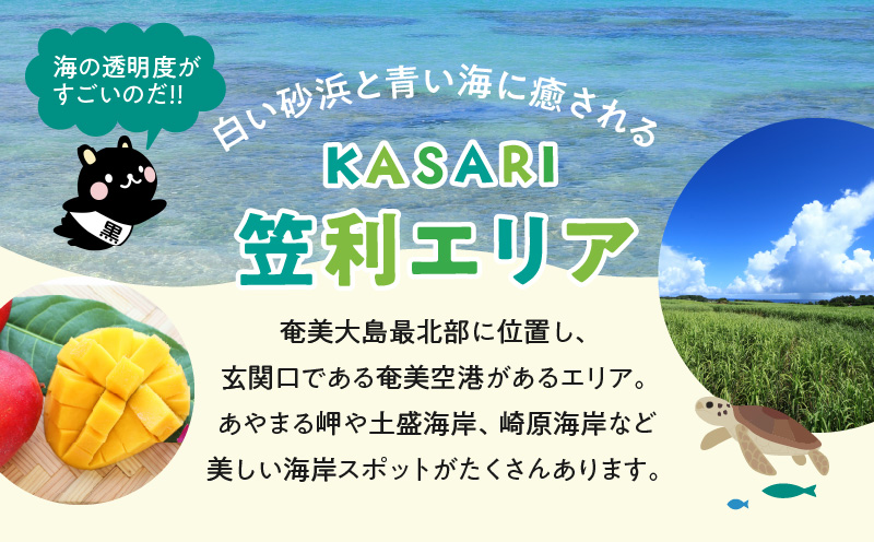 鹿児島県奄美市の対象ツアーに使えるHISふるさと納税クーポン 寄附額300,000円　HIS09