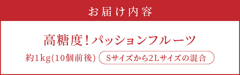 【2025年先行予約】高糖度パッションフルーツ 約1kg　A059-006