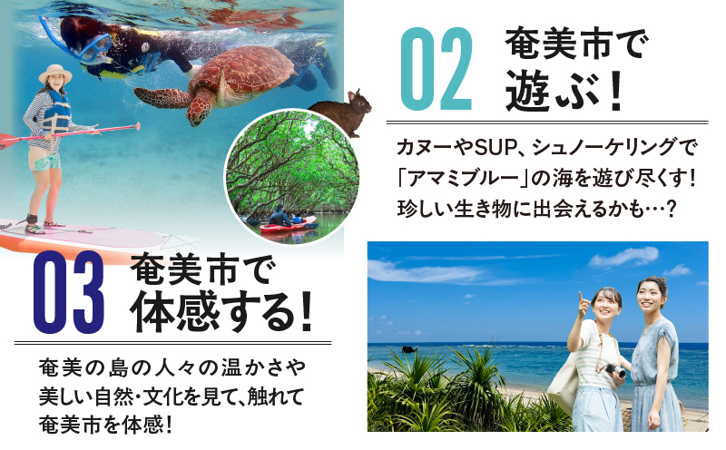 【奄美航空ツーリスト】ふるさと納税旅行クーポン150,000円　A179-FT006