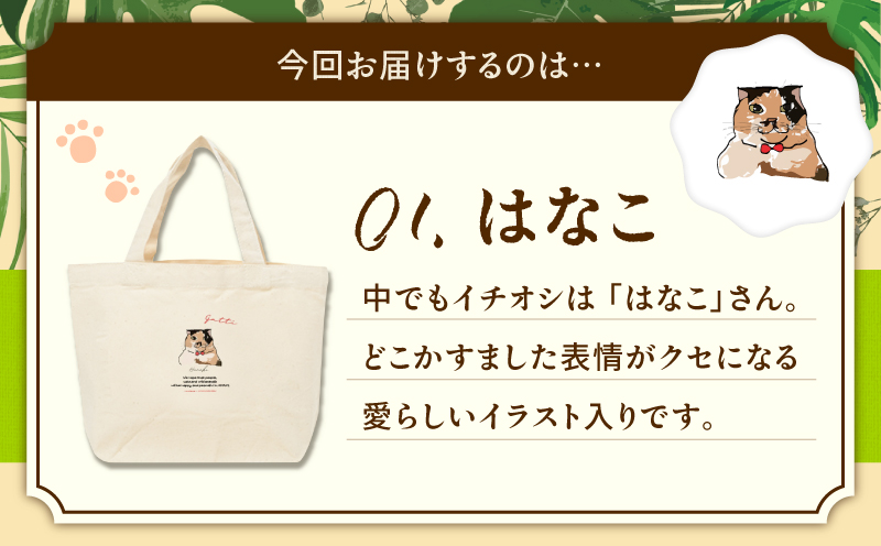 ãå¥çŸã®ä¿è·ç«æ¯æŽïŒã¯ã¯ãã³ä»£ïŒãïŒããããŒãããã°ïŒã¯ãªãïŒãA071-010-01