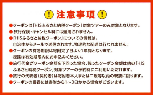 鹿児島県奄美市の対象ツアーに使えるHISふるさと納税クーポン 寄附額10,000円　HIS01